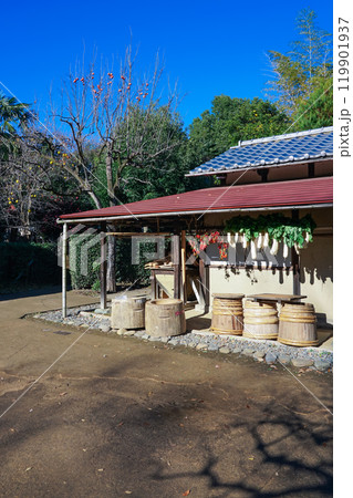陽当たりの良い軒下に吊るされた干し野菜（東京都世田谷区） 119901937