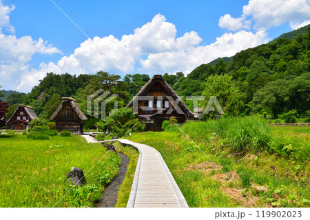 夏　白川郷　 119902023