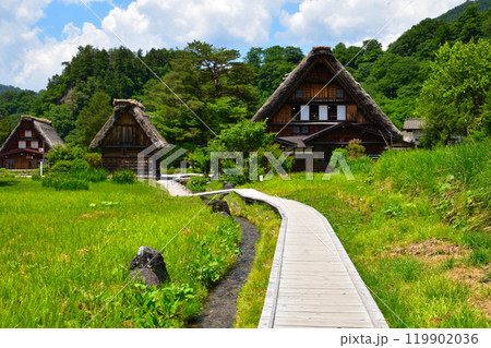 夏 白川郷 夏 白川郷 119902036