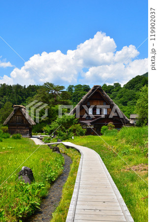 夏 白川郷 夏 白川郷 119902037