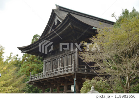 総本山醍醐寺 上醍醐 如意輪堂【重要文化財】 総本山醍醐寺 上醍醐 如意輪堂【重要文化財】 119902650