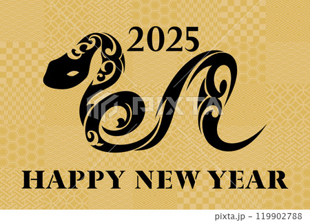 2025年 年賀状イラスト素材 2025年 年賀状イラスト素材 119902788