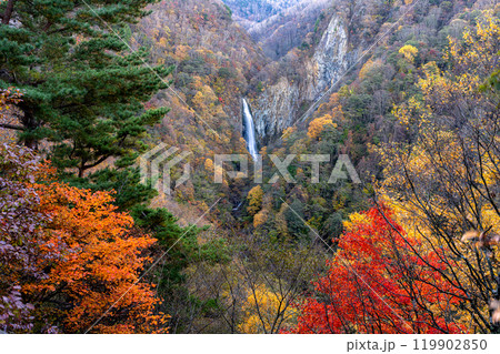 澗満滝 紅葉 滝めぐり 119902850