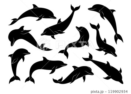 Dolphin icon. Sea whale jump, cute mammal logo, marine life. Mammal swimming animal, oceanarium and dolphinarium performance outline mascot. Fish in different poses. Vector black silhouette image 119902934