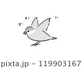 元気なシルバー文鳥 119903167