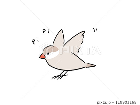 元気なシナモン文鳥 元気なシナモン文鳥 119903169