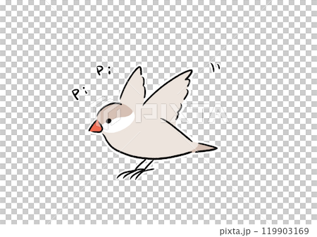 元気なシナモン文鳥 元気なシナモン文鳥 119903169