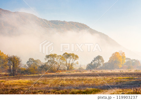 countryside landscape in autumn fog. sunny morning. beautiful scenery in carpathian valley. colorful trees in mist. grassy fields in fall season countryside landscape in autumn fog. sunny morning. beautiful scenery in carpathian valley. colorful trees in mist. grassy fields in fall season 119903237