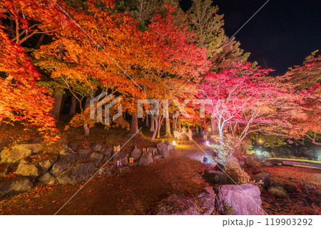 「青森県」南郷カッコウーの森、紅葉ライトアップ 八戸市 「青森県」南郷カッコウーの森、紅葉ライトアップ 八戸市 119903292