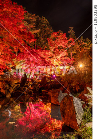 「青森県」南郷カッコウーの森、紅葉ライトアップ 八戸市 「青森県」南郷カッコウーの森、紅葉ライトアップ 八戸市 119903298