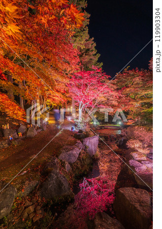 「青森県」南郷カッコウーの森、紅葉ライトアップ 八戸市 「青森県」南郷カッコウーの森、紅葉ライトアップ 八戸市 119903304