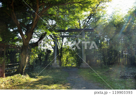 群馬県太田市金山町のパワースポット 新田神社 群馬県太田市金山町のパワースポット 新田神社 119903393