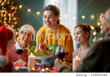 family celebrating Christmas 119903564