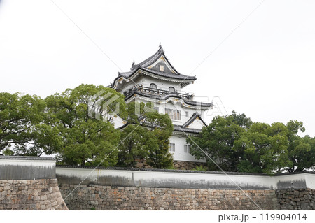 岸和田城 119904014