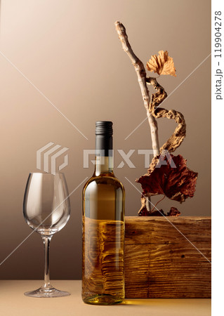 Bottle of white wine with a composition of old plank, dry snags, and dried vine leaves. Bottle of white wine with a composition of old plank, dry snags, and dried vine leaves. 119904278