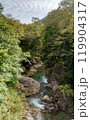 橋の上から見た川の上流の景色 119904317