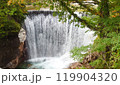 橋の上から眺めた土合砂防堰堤 119904320