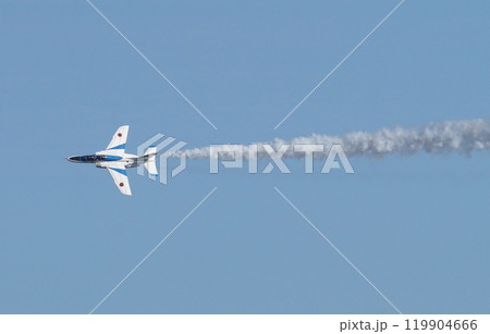 入間基地航空祭 入間基地航空祭 119904666