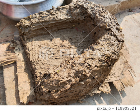 making a new soil stove by mud. Rural kitchen. Traditional stoves used by residents in rural India, pakistan, Bangladesh, nepal, afganistan, Sri Lanka and undeveloped countries. made of clay, fueled 119905321