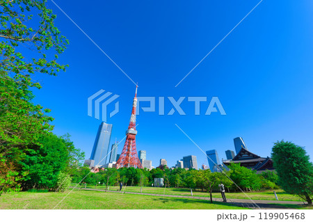 【東京都】5月・新緑の芝公園と東京タワーを観光 119905468