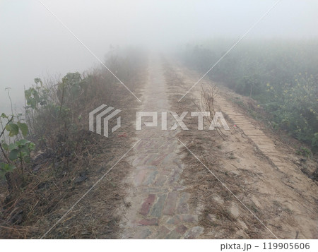 Mysterious sandy dirt road covered with heavy fog in india 119905606