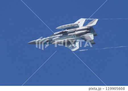 航空祭で機動飛行を行う航空自衛隊 アグレッサー部隊のF-15 119905608