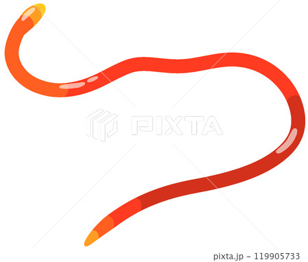 ユリミミズ 119905733