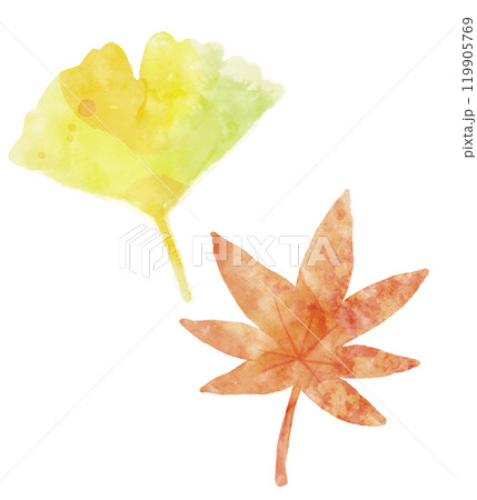 紅葉と銀杏　水彩 119905769