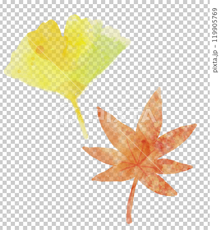 紅葉と銀杏　水彩 119905769