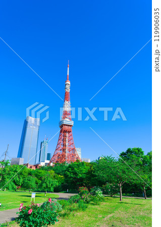 【東京都】5月・新緑の芝公園と東京タワーを観光 【東京都】5月・新緑の芝公園と東京タワーを観光 119906035