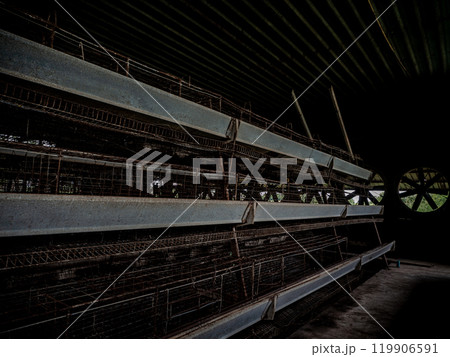 The empty laying cages of poultry houses, old, decayed, abandoned The empty laying cages of poultry houses, old, decayed, abandoned 119906591