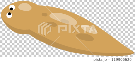 美國地老虎 美國地老虎 119906620