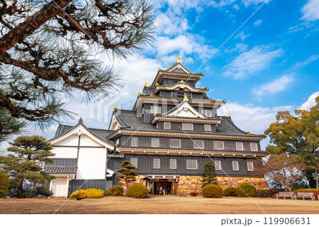 Okayama Castle in Okayama, Japan Okayama Castle in Okayama, Japan 119906631