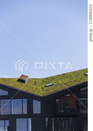 Green ecological sod roof on modern city building covered with vegetation, sunny day, copy space 119906920
