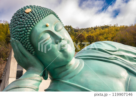 The Reclining Buddha of Nanzoin Temple 119907146