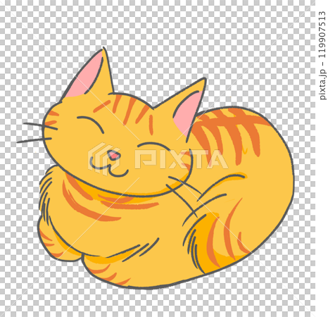 A tea tabby cat that curls up and sleeps happily A tea tabby cat that curls up and sleeps happily 119907513