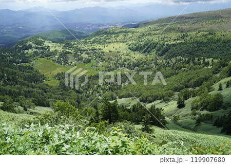 草津白根山山頂付近　国道292号　渋峠付近国道最高地点から芳ケ平方面を見る　2024年7月26日 119907680