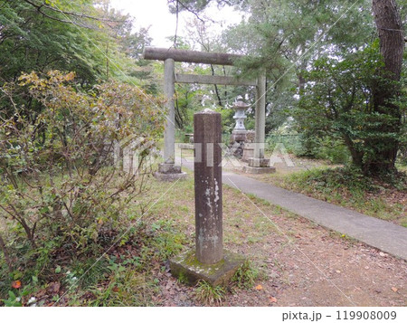 武州青梅金刀比羅神社 十二方角碑 武州青梅金刀比羅神社 十二方角碑 119908009