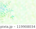 爽やかな新緑イメージ素材　イラスト 119908034