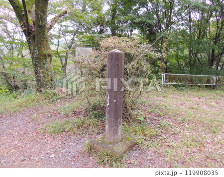 武州青梅金刀比羅神社 十二方角碑 武州青梅金刀比羅神社 十二方角碑 119908035