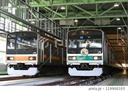車両基地で並ぶ2編成の209系1000番台（団体表示） 119908103