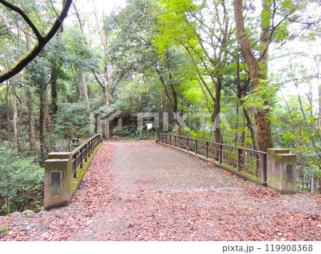 永山丘陵 叢雨橋 永山丘陵 叢雨橋 119908368
