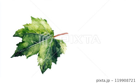 The artwork features a vibrant green maple leaf with intricate details showcasing its veins and texture, elegantly placed on a white backdrop 119908721