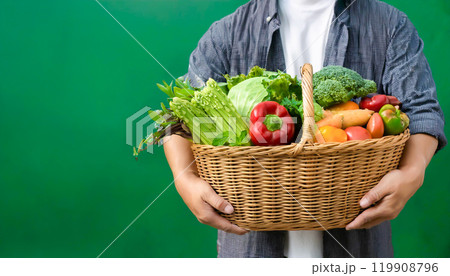 新鮮野菜の収穫 新鮮野菜の収穫 119908796