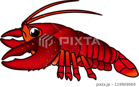 アメリカザリガニ　イラスト 119909069
