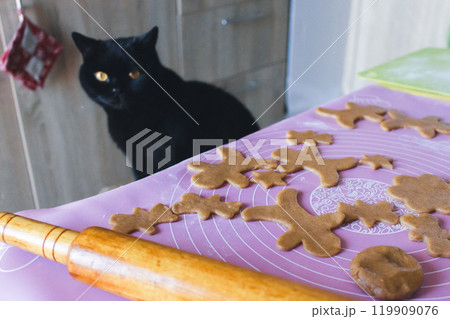 Black cat on chair looking at Christmas cookies on the table. Funny kitten with Christmas gingerbread cookies. Cinnamon pastry in funny shapes with pet on background. Homemade cookies and black kitty. 119909076
