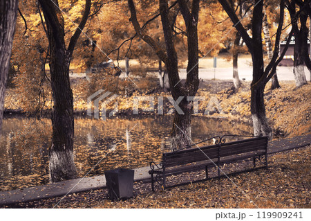 Autumn park bench, rainy texture background. Rain in autumn park, drops of water, wind. Autumn park bench, rainy texture background. Rain in autumn park, drops of water, wind. 119909241