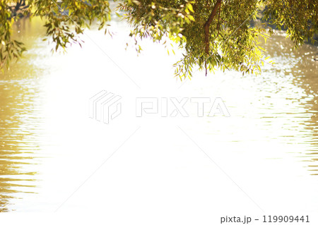 city park without people on an autumn day, bright rays of the sun shine through the crowns of maple trees 119909441