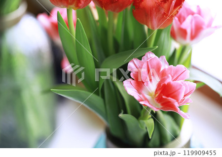Tulip flowers close-up in a vase. Mothers Day. Tulip flowers close-up in a vase. Mothers Day. 119909455