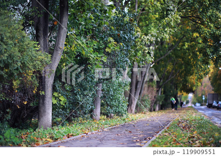 Beautiful autumn park. Russian North. Autumn trees and leaves. Autumn Landscape.Park in Autumn. Forest in Autumn. Beautiful autumn park. Russian North. Autumn trees and leaves. Autumn Landscape.Park in Autumn. Forest in Autumn. 119909551